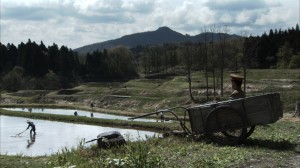 Caterpillar-03-300x168