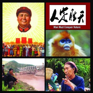 waking the green tiger