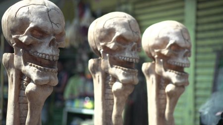 Superstitious Minds Skulls