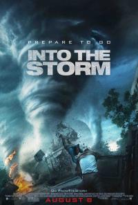 INTO THE STORM affiche