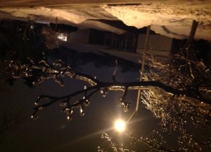 Toronto Ice Storm 2013