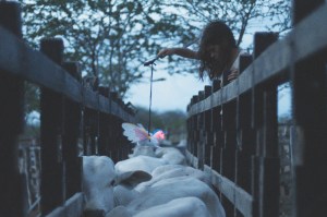 O76Byp_NEON_BULL_01_o3_8745069_1439475275