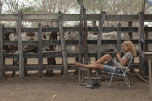 X6pO5k_NEON_BULL_05_o3_8745231_1439475286