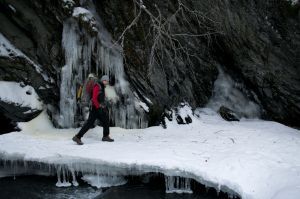 Sugar Mountain, Drew Roy