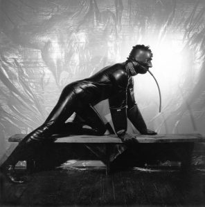 docs_mapplethorpe02-296x300