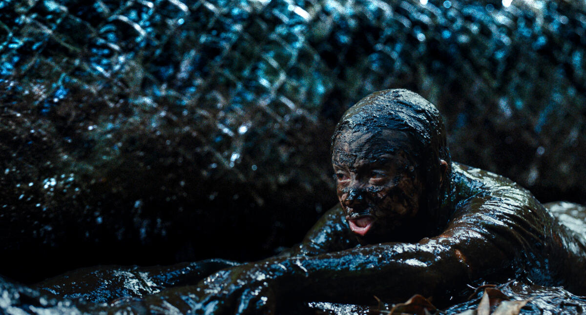 More schlock, please! Film reviewed: Verity, Beware Boiúna 